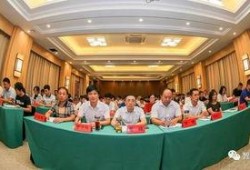 新闻背后的爆料人员,爆料人员亲述内幕
