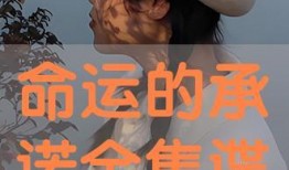 命运的承诺在线观看,在线揭秘宿命轮回的奇幻旅程