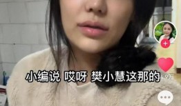 樊小慧爆料的视频在哪看,揭秘事件真相