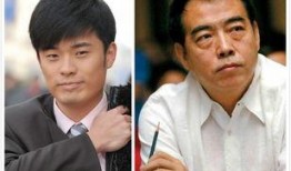 陈赫爆料陈凯歌视频全集,视频全集深度解析