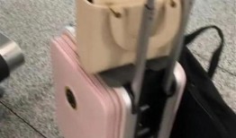 行李箱爆料真实视频,揭秘真实视频背后的惊人秘密