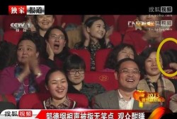 蛇年春晚爆料视频,揭秘幕后花絮，笑料与感动齐飞