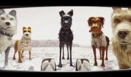 大狗狗影视在线观看,畅享海量影视资源，尽在大狗狗影视平台