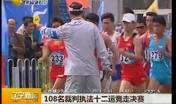 辽宁卫视新闻爆料,重大新闻事件背后真相揭晓