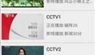 娜娜坏在线手机在线观看,手机在线观看，揭秘都市情感纠葛