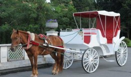 皇家马车爆料视频大全最新