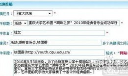 新闻媒体投稿爆料渠道怎么写,如何高效传递信息