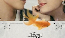 爆料秦岚王鹤棣视频播放,甜蜜瞬间引网友热议