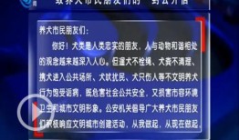 荆州新闻头条爆料,揭秘神秘事件，真相即将揭晓！