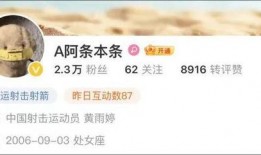 皮哥爆料视频大全集下载,揭秘幕后真相，带你领略网络风云