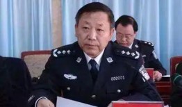 公安厅长全集在线观看,揭秘警界风云，正义与邪恶的较量