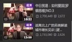 爆料徐小平视频播放下载,揭秘知名投资人幕后故事