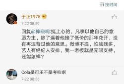 娱乐圈吃瓜文案最新,揭秘明星背后的故事与真相
