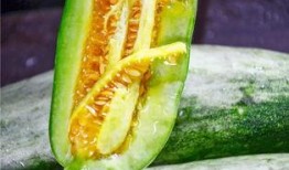 胖网红吃瓜,趣味横生瞬间引爆网络
