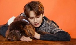 朱正廷前女友爆料视频,揭秘明星恋情背后的真相