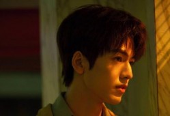 娱乐圈吃瓜张凌赫是谁