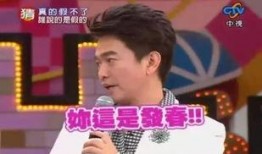 娱乐大爆料陈思成是谁,娱乐大爆料中的影视界风云人物