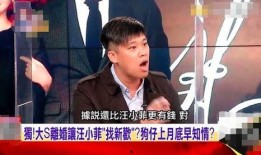 爆料汪小菲的照片大全视频,独家视角下的生活瞬间