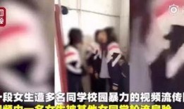 记者拆包爆料视频在线观看,独家视频带你直击幕后真相