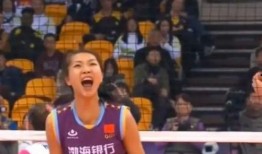 天津女排爆料最新消息,揭秘备战新赛季的备战秘籍与亮点