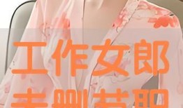 工作女郎未删减在线观看,真实职场背后的激情与挑战