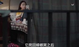 苏宁小姐姐爆料视频播放,揭秘幕后精彩瞬间