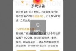 鸡场老板爆料视频播放在线观看,揭秘养殖行业背后真相