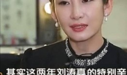 天涯网爆料刘涛被打视频,天涯网友热议娱乐圈暴力事件