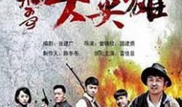 爆料短视频飞哥大英雄,短视频中的平民英雄传奇