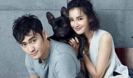 明星夫妻相互爆料视频,明星夫妻爆料视频大揭秘