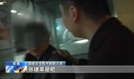 密查在线观看,揭秘神秘事件，在线观看探秘之旅