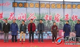 浠水二小爆料新闻报道,校园新闻背后的故事