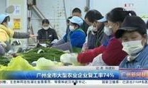 广州新闻爆料小鹿视频,小鹿视频独家爆料，揭秘背后故事