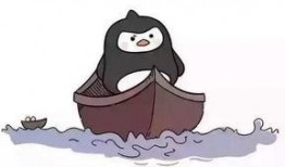 娱乐吃瓜酱隐形式单身,隐形式单身背后的故事