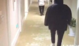 黑哥爱情爆料视频大全集,揭秘视频大全集里的甜蜜瞬间与感人故事