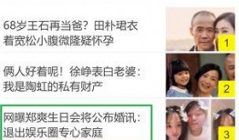 娱乐圈爆料配图网站,揭秘明星幕后生活瞬间