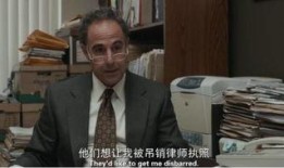 愤怒的律师在线观看,在线观看，揭秘法律界的激情与正义