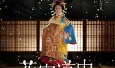 花宵道中在线观看国语,浪漫邂逅，穿越时空的奇幻之旅