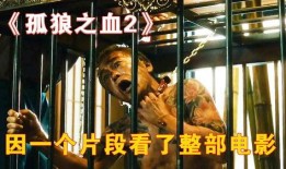 孤狼电影手机在线观看,手机在线观看，独狼世界里的生存法则
