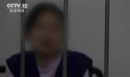 贵州八卦爆料事件始末视频,真相揭秘与网络舆论风暴