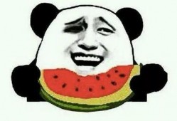 免费吃瓜怎么进,轻松解锁美食盛宴
