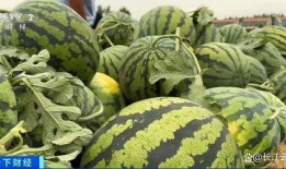 山东吃生瓜的网红,传统美食新潮流