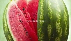 八卦群吃瓜网红,揭秘网红吃瓜背后的故事