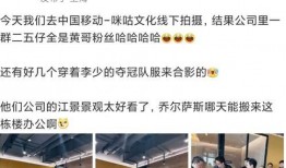 舅舅爆料骗局视频播放网站,骗局视频播放网站内幕大曝光