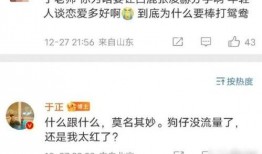 爆料视频之白鹿,揭秘神秘爆料视频背后的真相