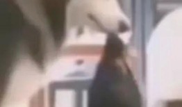 卜哥直播爆料视频,独家爆料视频内容大汇总