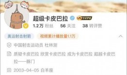 皮哥爆料视频大全集下载,揭秘幕后真相，带你领略网络风云