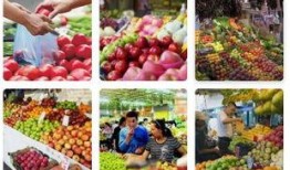 丰收节免费吃瓜,免费瓜果共享欢乐时光