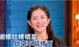 明星爆料酒店视频播放在线观看,酒店视频在线观看，揭秘明星真实生活