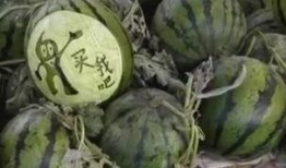 郯城大瓜爆料视频,一场引人入胜的真相大曝光